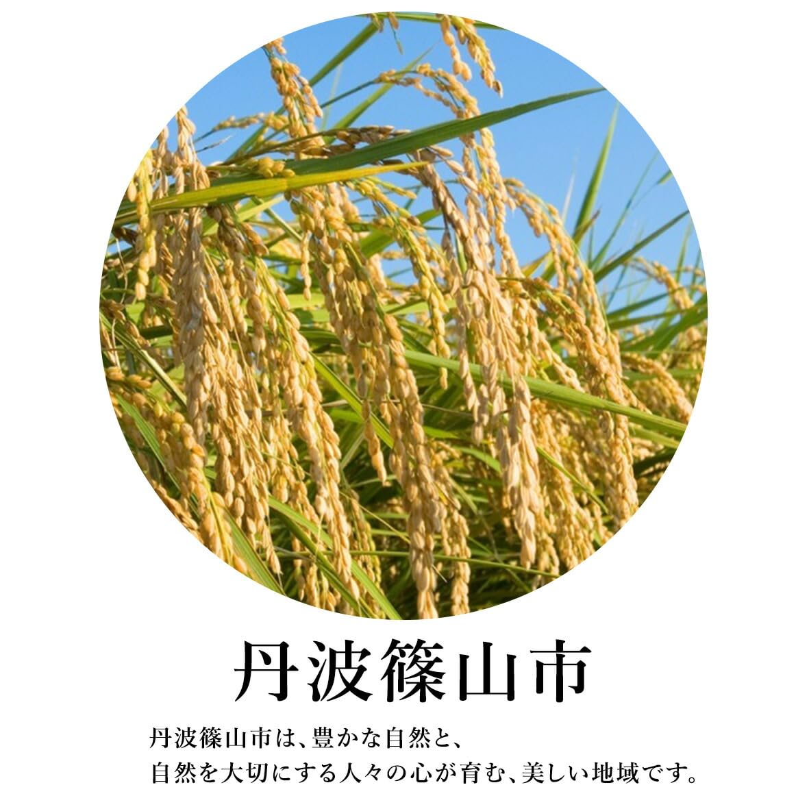 Amazon.co.jp: 令和7年度産 新米 コシヒカリ 兵庫県産 おこめ 精米前