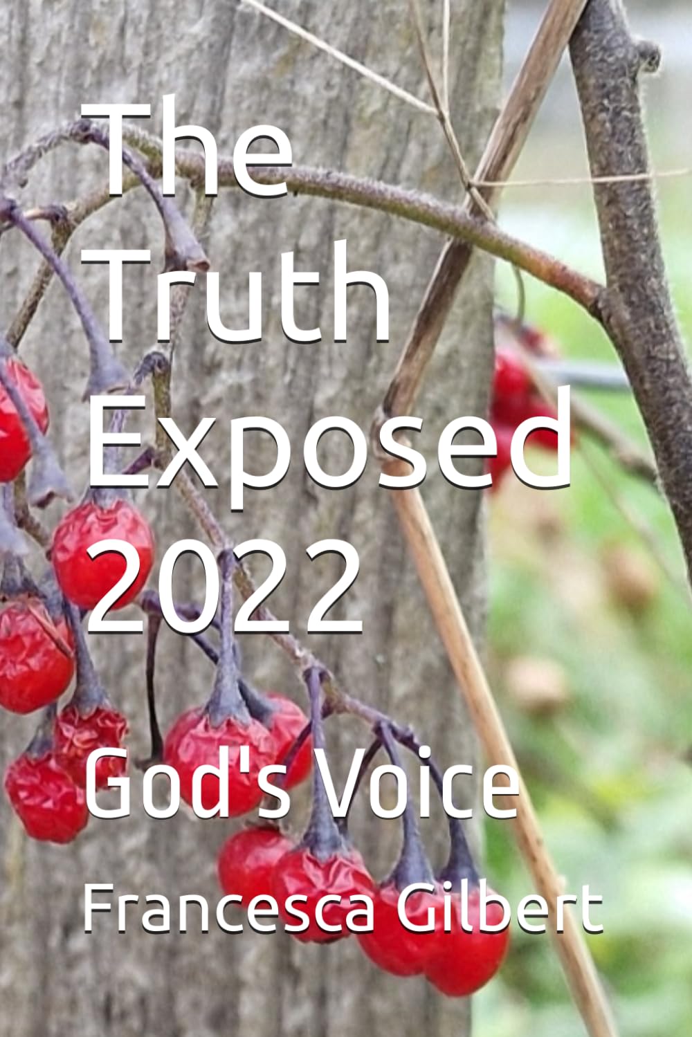 The Truth Exposed 2022: God's Voice