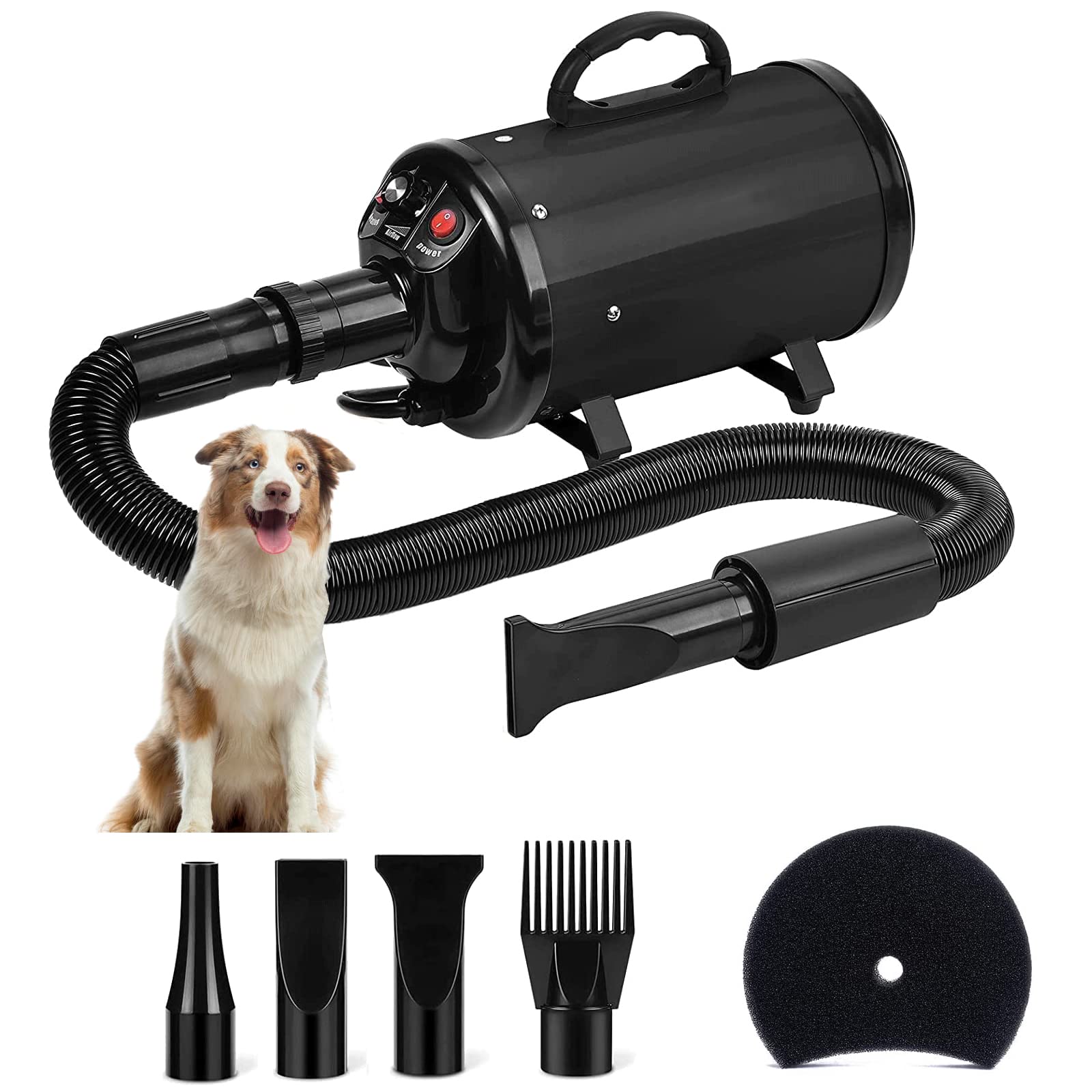 10 Best Dog Blow Dryers For Quicker (and Fluffier) Grooming