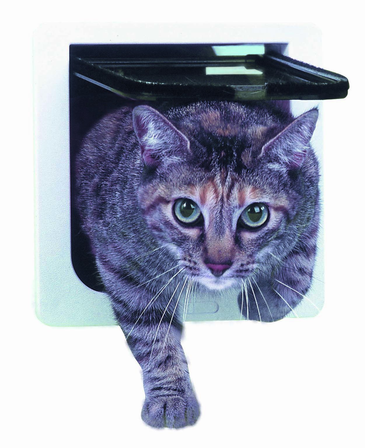 Amazon Perfect Pet Cat Flap Door with 4 way Lock Pet Door 6 1 4 x 6 1 4 Flap Size Cat Door Exterior Pet Supplies