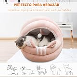 Ver la foto 2