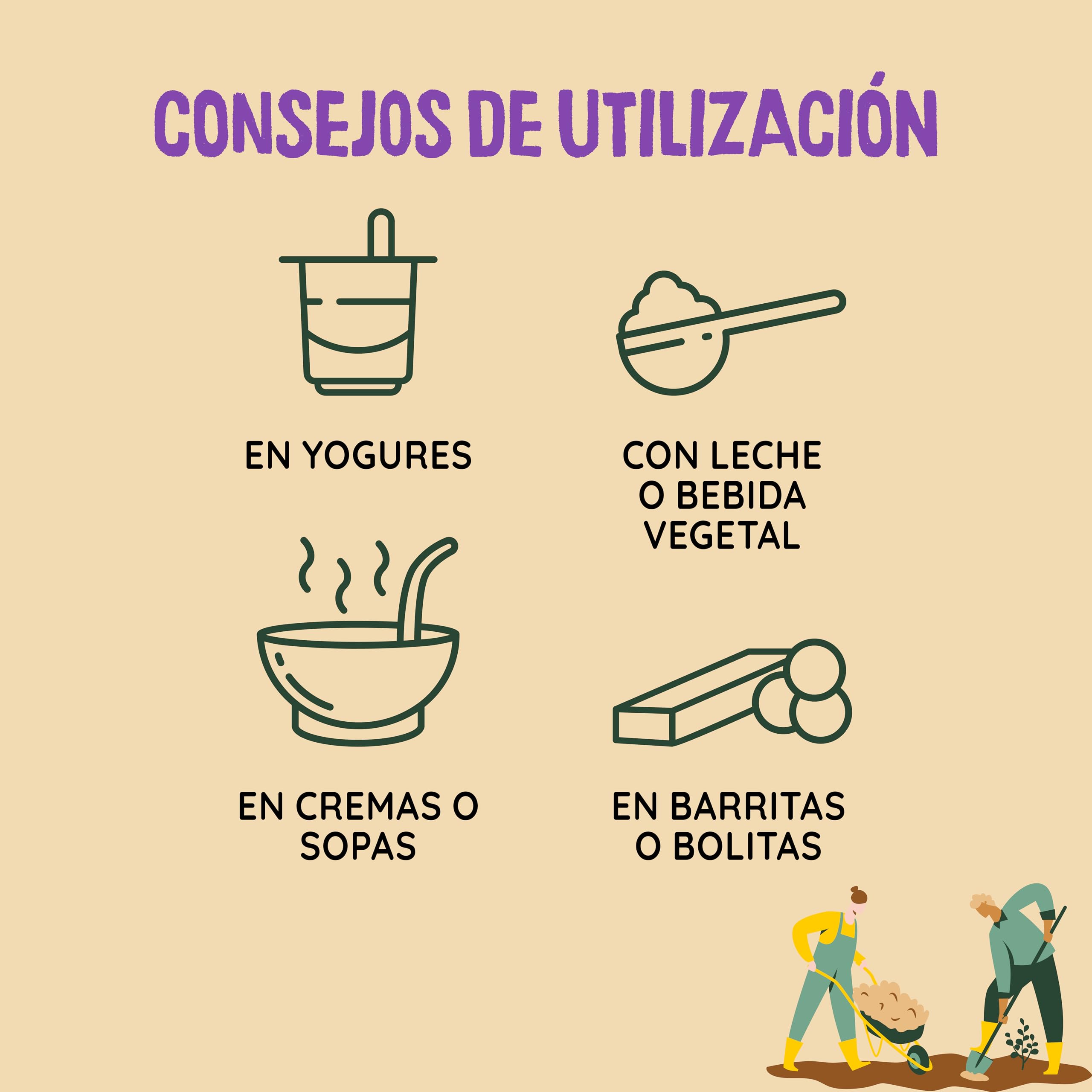 NATURCESTA ALIMENTACIÓN NATURAL - Pack de 12 Bolsas de Semillas Ecológicas de Lino de 400 g - Alto Contenido en Fibra, Omega 3, Vitamina E y Magnesio - Apto para Dieta Vegana y Paleo