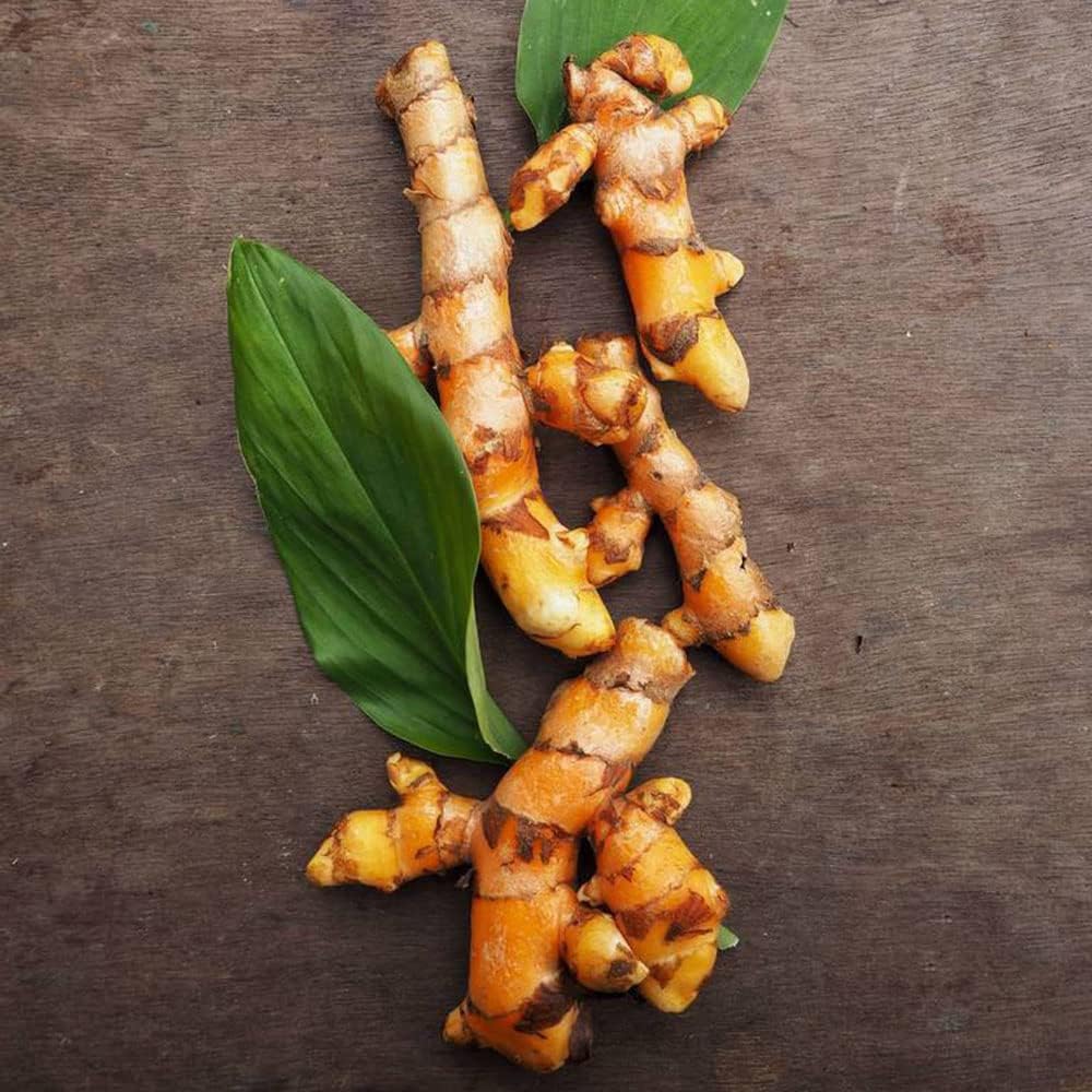 100 Zauberbohnen Samen - Magischer Bohnen Mix Für Garten & Balkon