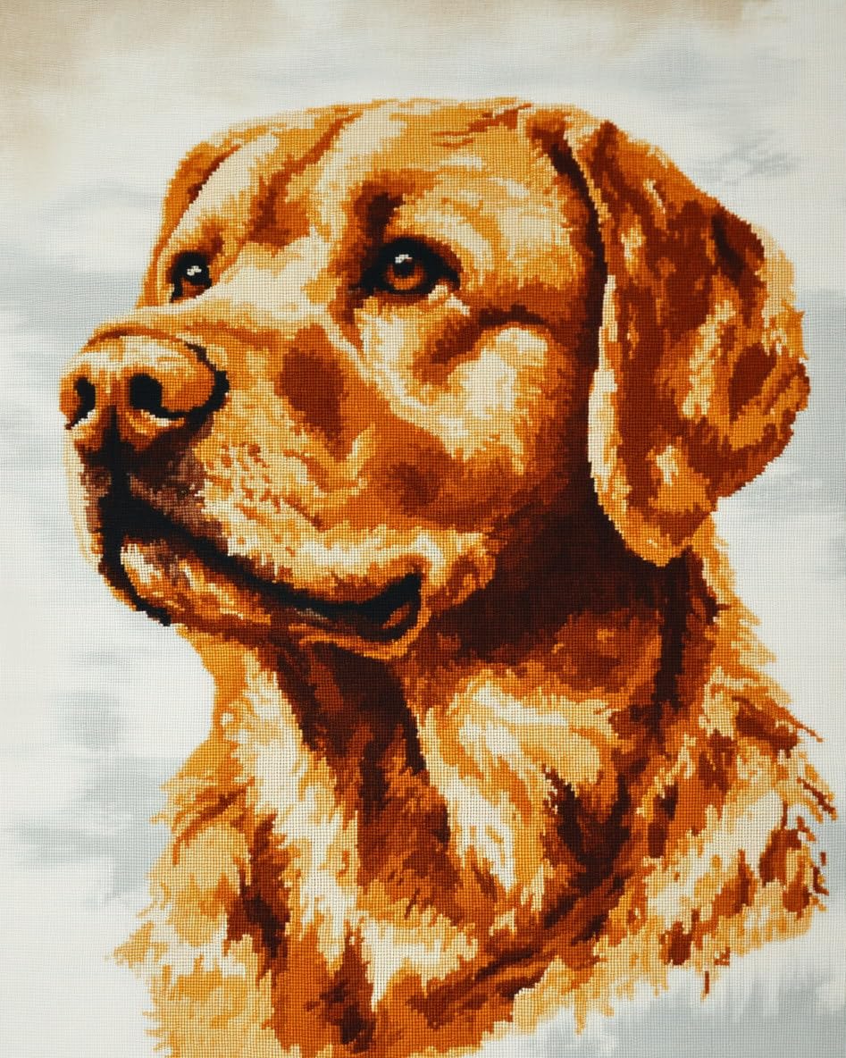 Hdfvlfdsa Counted Cross Stitch Kits for Adults Embroidery Labrador Dog 11Ct Stamped Cross Stitch Kit Pattern Embroidery Kit Pre-Printed Fabric Home Decor Adult Craft Kits 30X40Cm