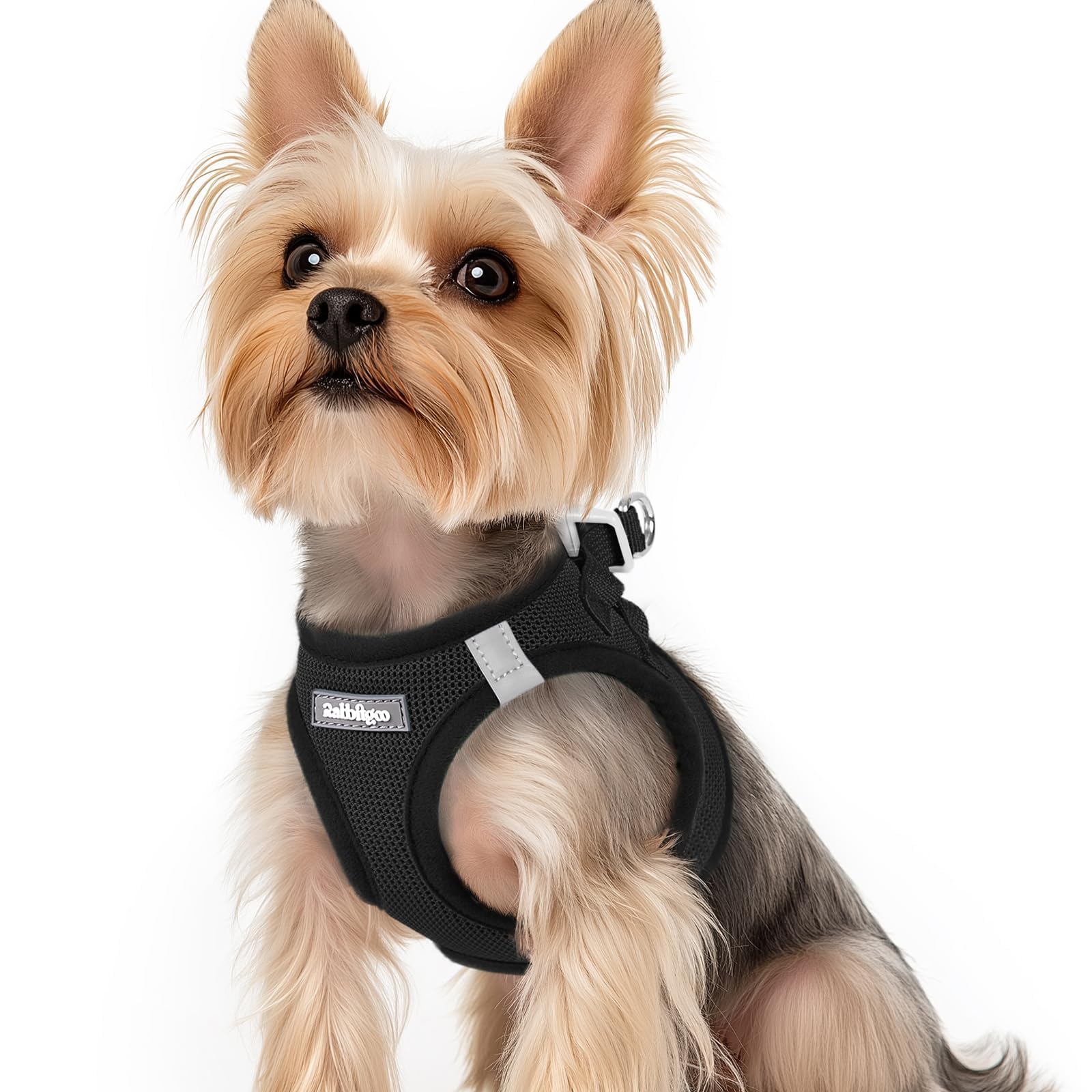 Step-in Small Dog Harness, Puppy Vest for Small Sized Pet | Easy Put on and off, Lightweight, Soft, Breathable Quick-Dry Air Mesh for Comfortable Secure Walking, Black XS