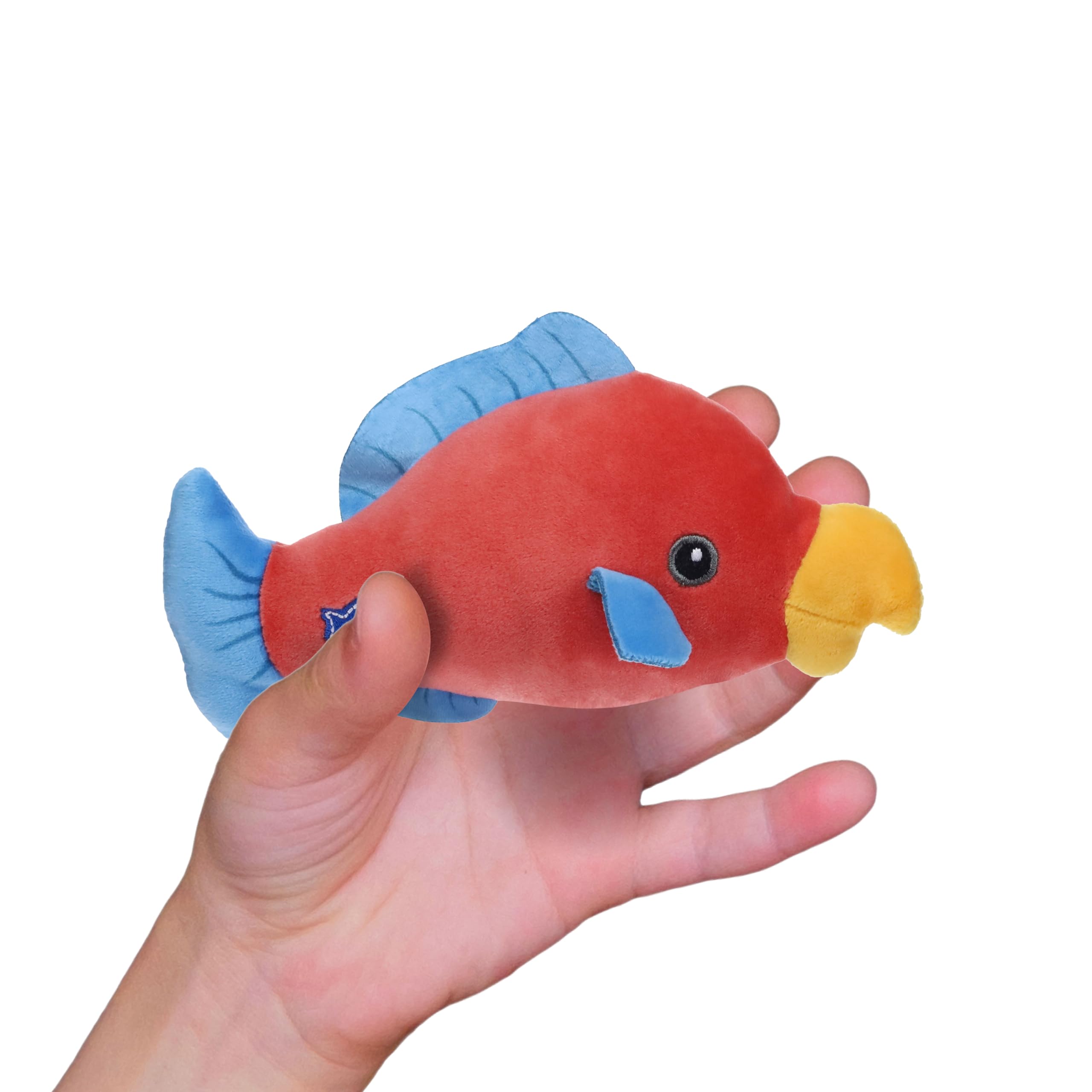 Amazon.com: Fish Collectible Plush Assortment 10 cm : Toys & Games