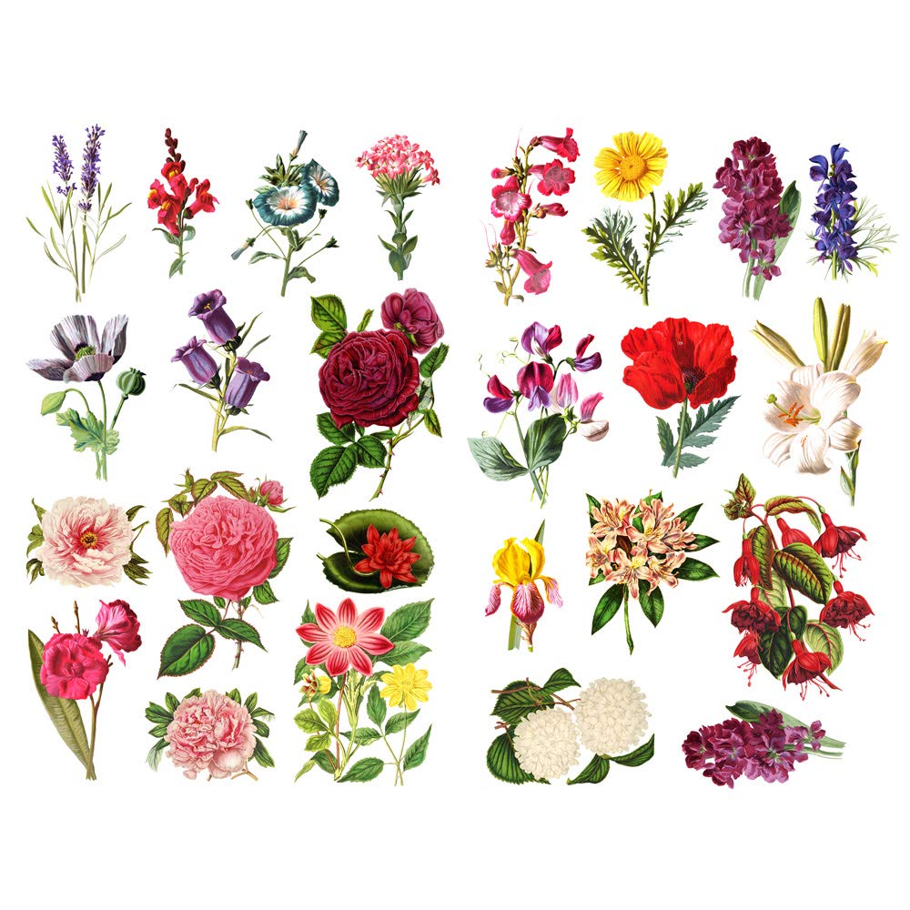 Amazon.co.jp: Seasonstorm Hello Autumn Yellow Leaves プレカット