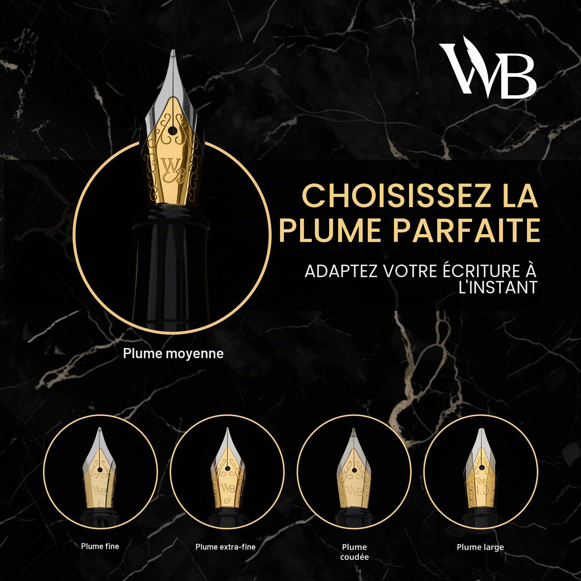 Wordsworth & Black Kit stylo plume, Plume moyenne, Comprend 24 cartouches d'encre et convertisseur de recharge d'encre, Coffret cadeau, Journalisation, Calligraphie, [Chrome argenté]