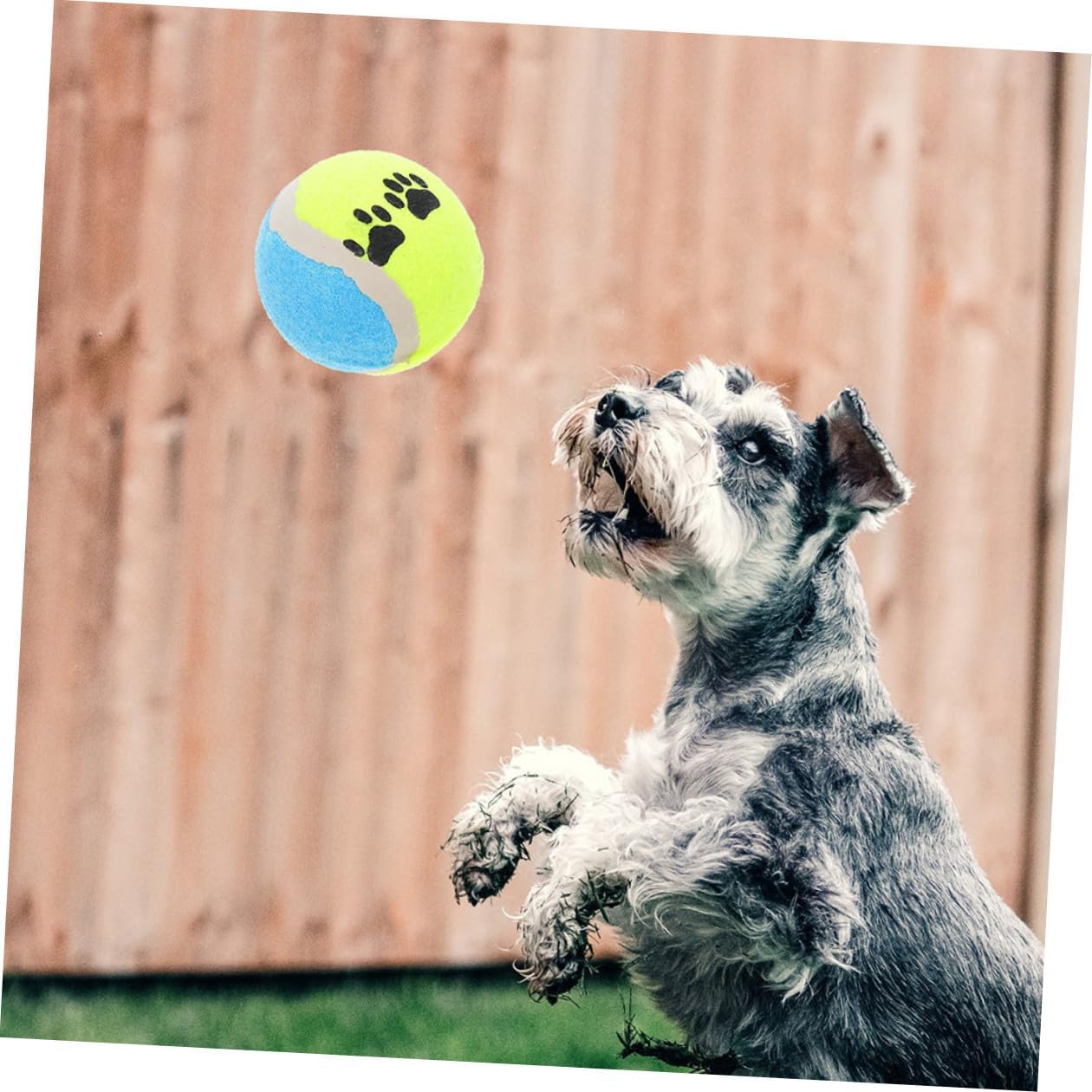 16pcs Dog Tennis Balls Plush Chew for Small Dogs 7cm Diameter Rubber Fetch Balls Interactive Training Puppy Enrichment Outdoor Play Random Color
