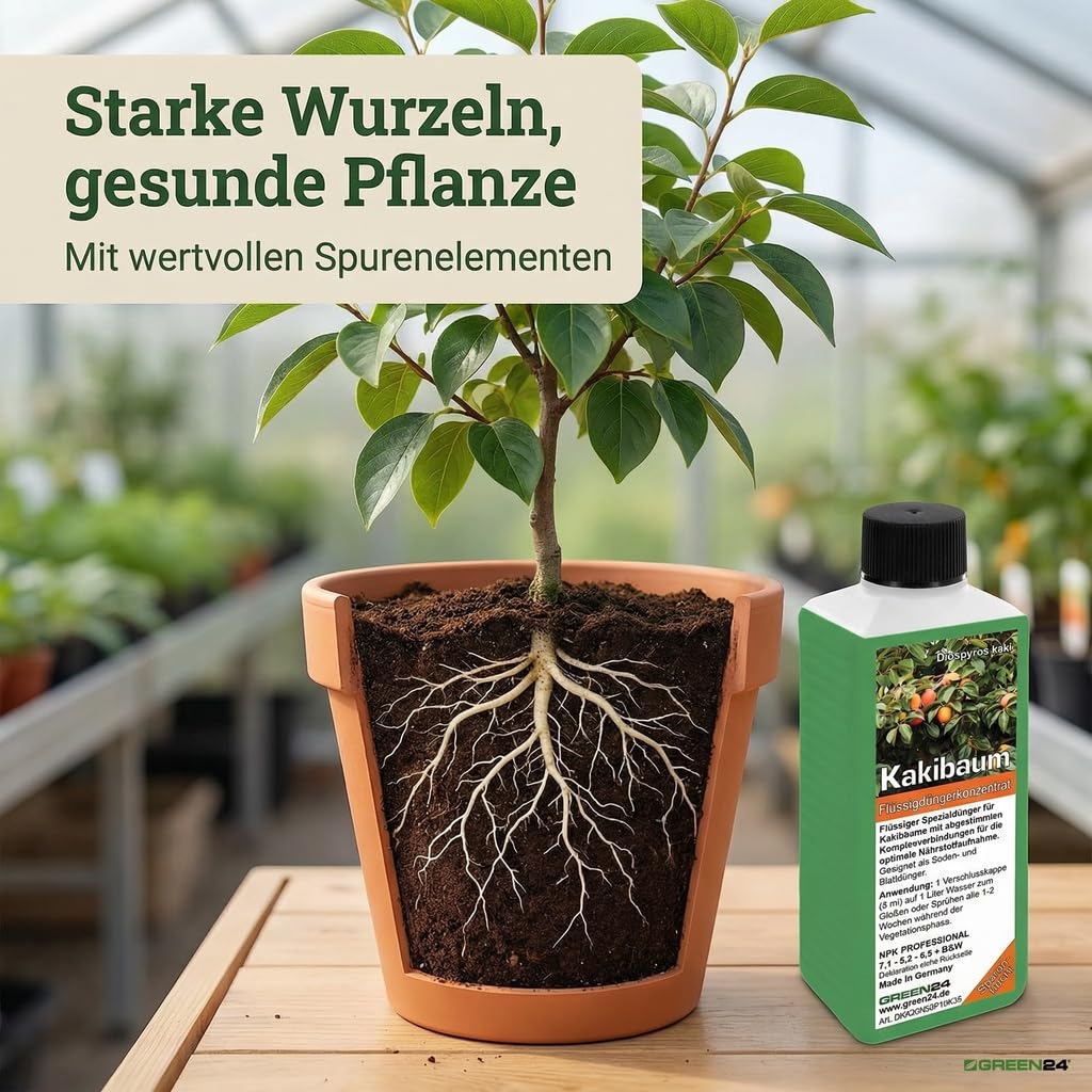 Kakibaum-Dnger - Diospyros kaki Flssigdnger fr reichhaltige Frchte 250  ml : Amazon.de: Garten
