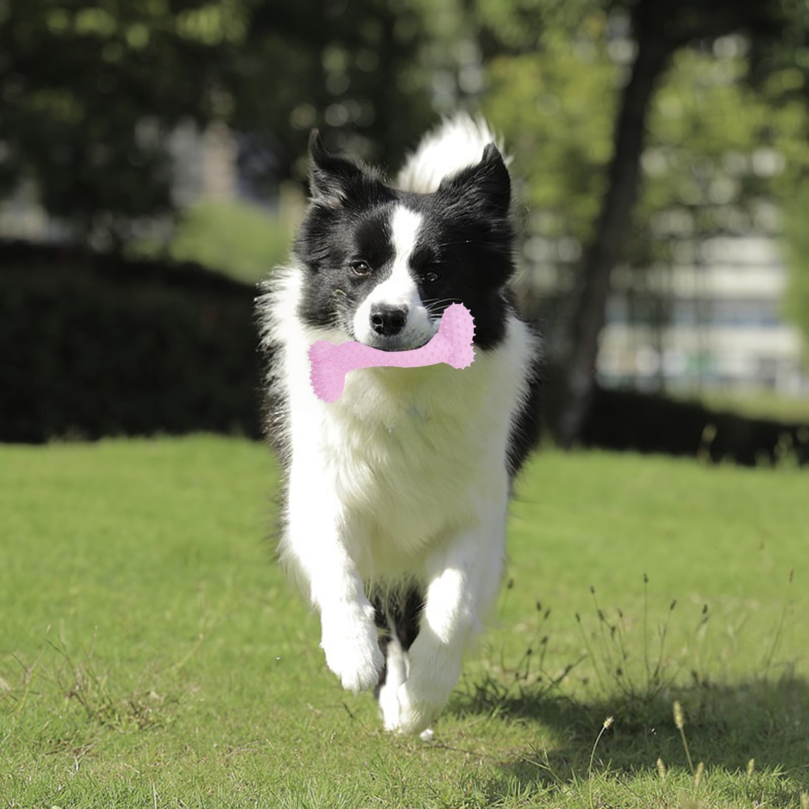 Pddenality 6 PCS Pink Chew Toys for Dogs Set Durable Dog Toys, Dog Chew Toy - Image 4