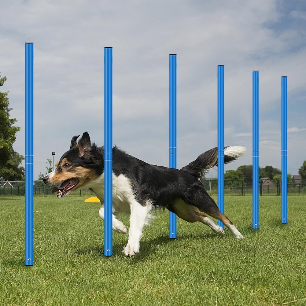 Fußball Agilitäts Slalomstangen Set für Jugendliche und Erwachsene | Fußball Trainingszubehör,Inklusive 6 Agility Training Stangen,10 Fußballkegel,1 Agilitäts Leiter,1 Aufbewahrungstasche