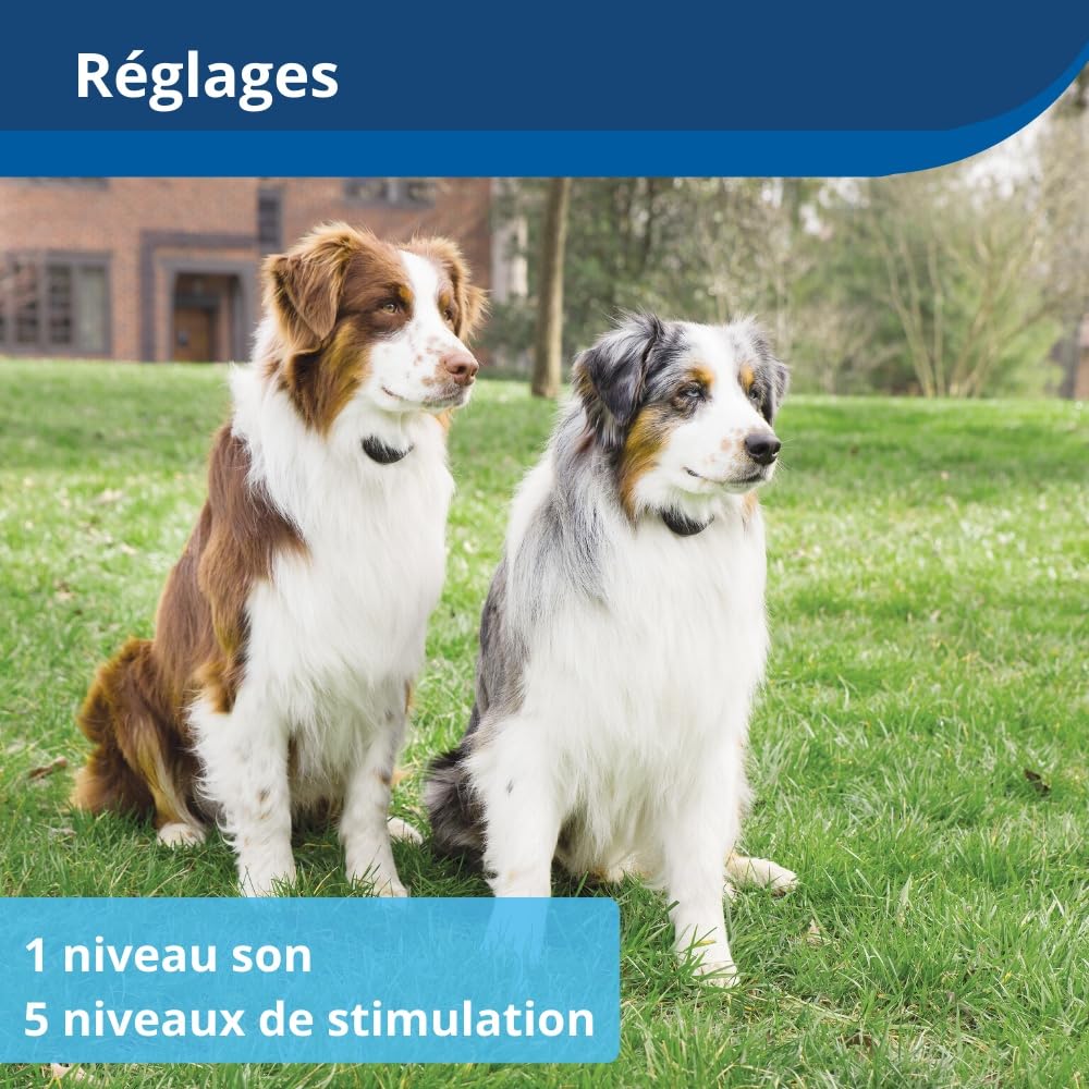 PetSafe Stay & Play Compact Wireless Pet Containment System with Rechargeable Collar, LCD Screen for Adjustable Circular Perimeter, up to 3,000 m², Suitable for All Your Pets, Portable System