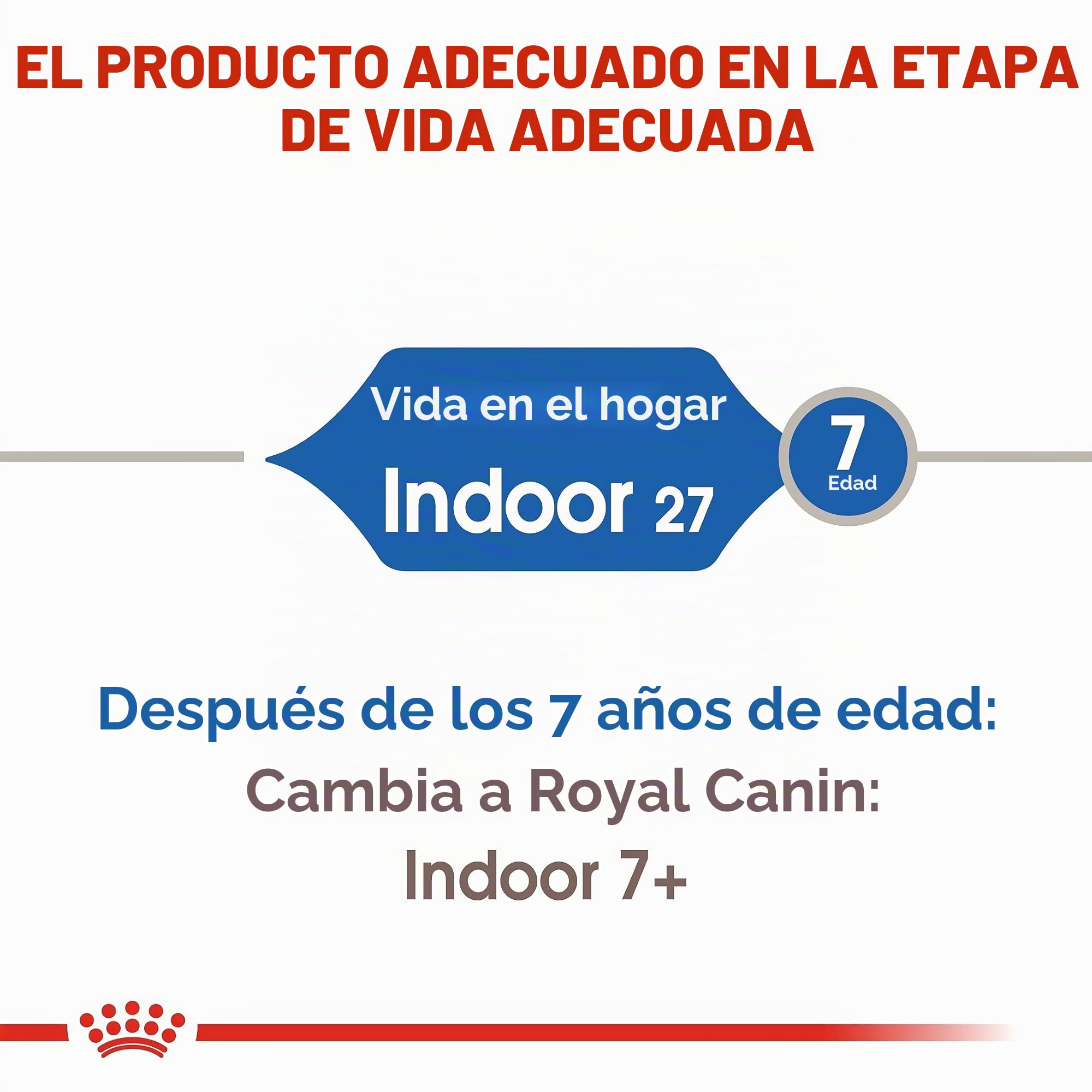 Royal Canin C-58506 Indoor - 10 Kg