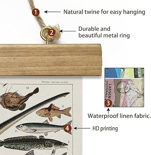 Miniatura 52 de XIAOAIKA Póster de botánica vintage con marco de madera, tabla de plantas venenosas antiguas, arte educativo botánico con especies peligrosas, 1