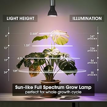 Brighte ELEKIBRUSH・ELEKILOTION Amazon.com : Briignite Grow Light Bulbs, 10W Plant Light