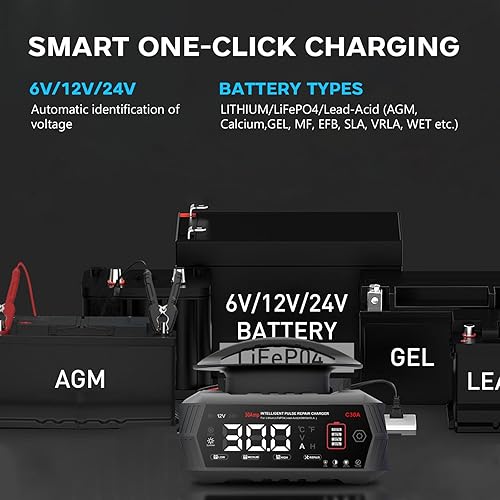 Miniatura 3 de Cargador de batería de 30 amperios, 6 V12 V24 V de plomo-ácido, litio, cargador de batería inteligente LiFePo4, cargador portátil de pantalla