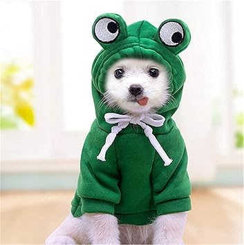Funny Dog Hoddie, Dog Sweater Cute Apple Banana Frog Shape Warm Jacket for Pet Fashion Cold Weather Wear Outfit Outerwear for Small Medium Dogs Cats Green XL