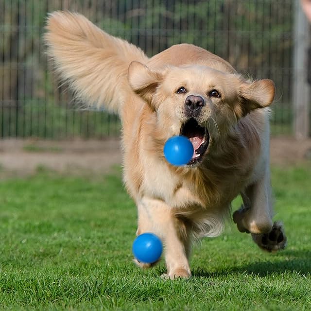 Foto 5 de 7 de DLDER Pelotas indestructibles para Perros, Bolas de Goma sólida para Perros masticadores agresivos