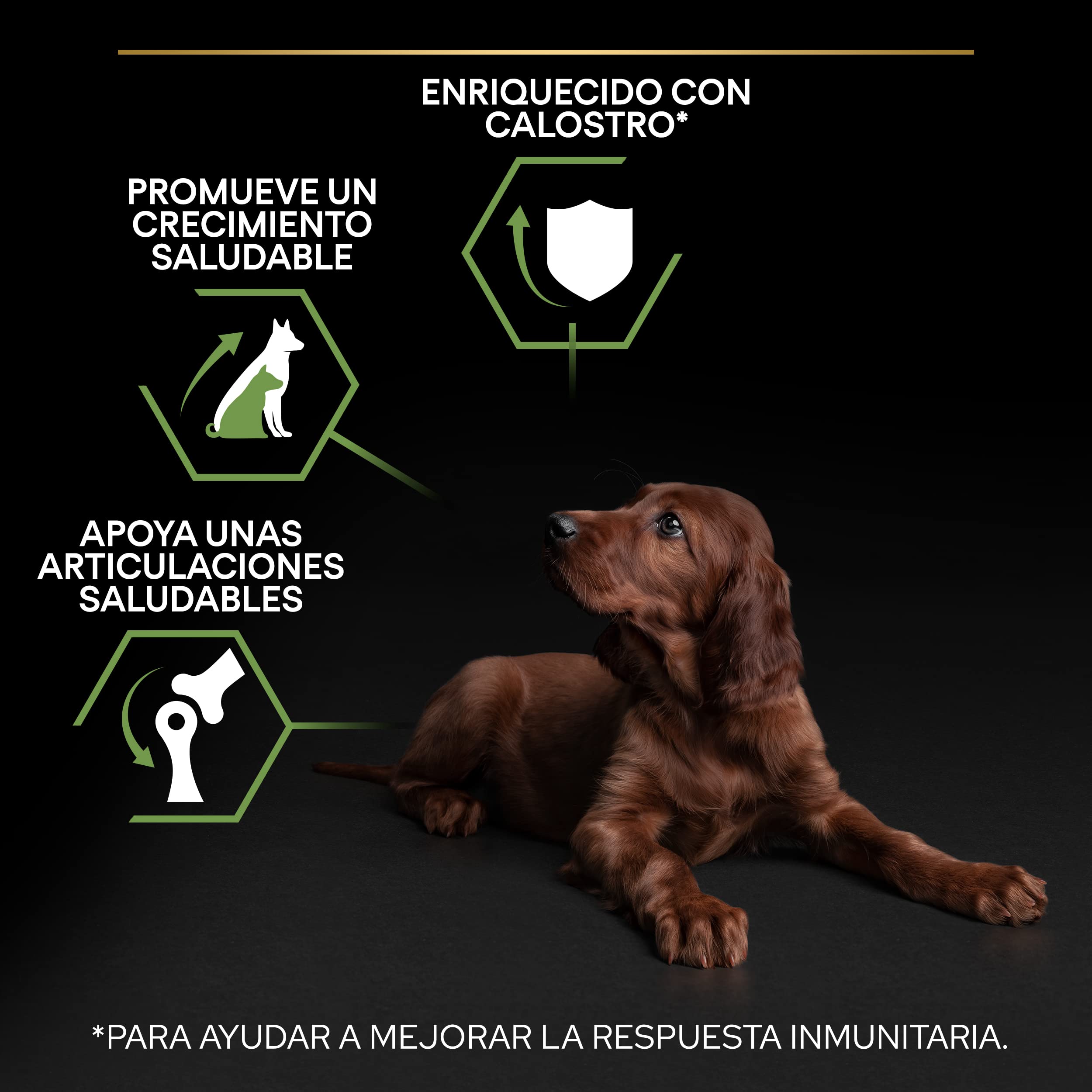 Purina Pro Plan Optistart Large Athletic Puppy Crocchette Cane 12 kg