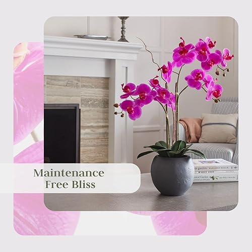 Miniatura 21 de CG Hunter Planta de orquídea sintética con suculentas, soporte de exhibición de flores artificiales de alta calidad para interiores de 23 pulgadas