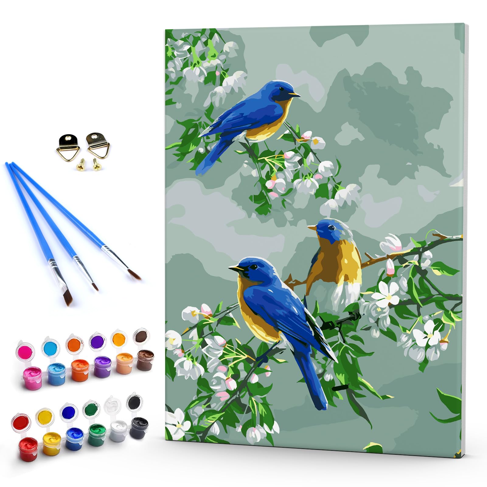 DAERLE Pintar por Numeros Adultos Enmarcado Gorrión, DIY Pintura por Números Pájaros y flor, Kit de Pintura al óleo de Lienzo para con Pinceles, Cuadros por numeros Pigmento Acrílico 30x40cm