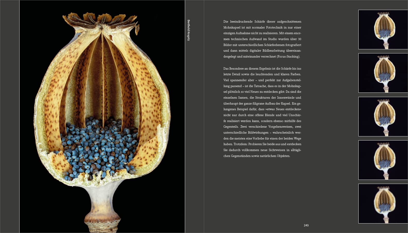 DAS ANDERE SEHEN: Kreative Fotopraxis in 40 Workshops