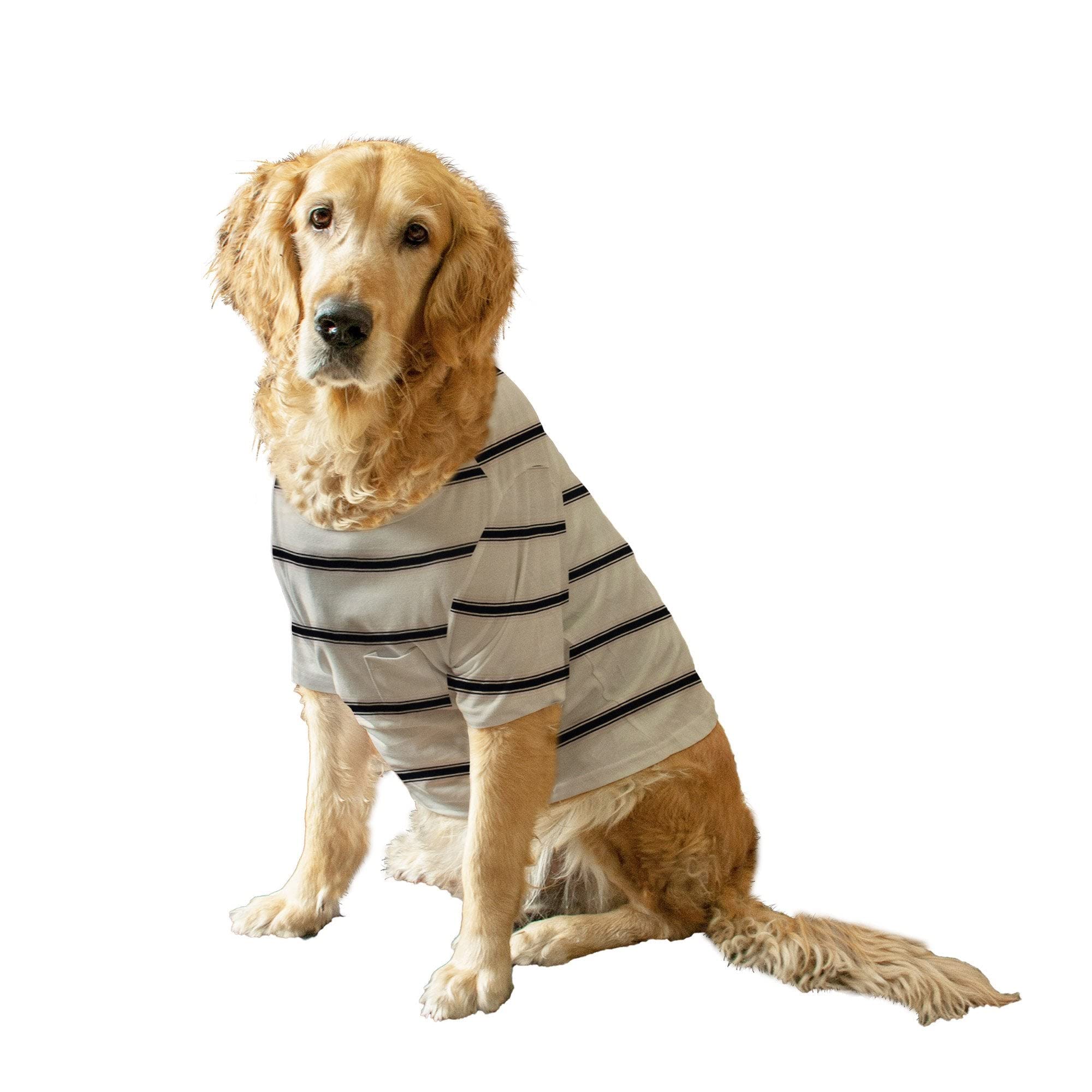Ruse. Pet Clothes Cookies and Cream Striped Full Sleeves with Treat Pocket Crew Neck T-Shirt/Tees Apparel for Dogs Gifts.(M) (B0BF17QY7X) Amazon Price History, Amazon Price Tracker