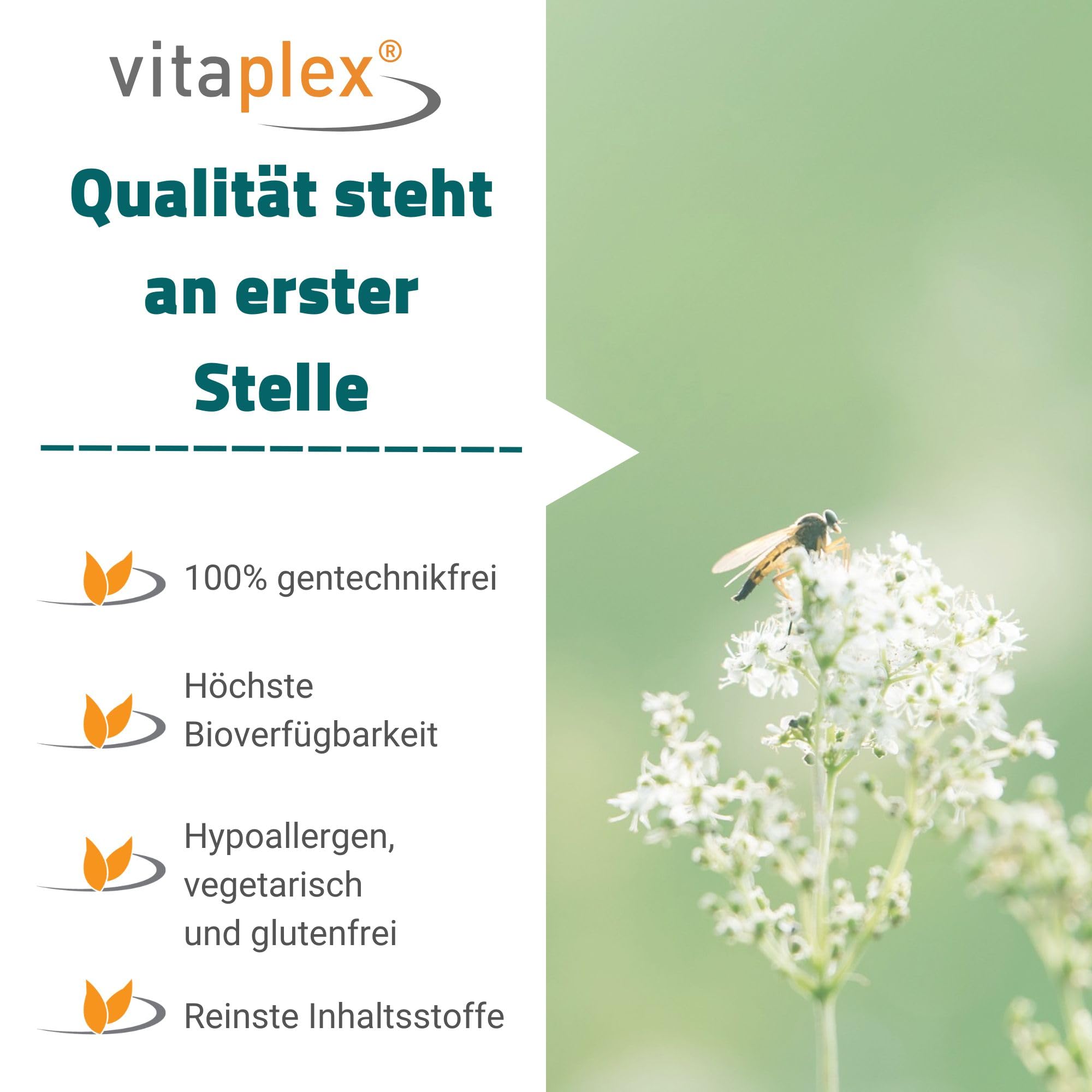Vitamin K2 Kapseln hochdosiert MK-7 (100 mcg, 90 Tabletten) - natürliche Vitamin K2 D3 Therapie - fettlösliches MK 7 Vitamin K2