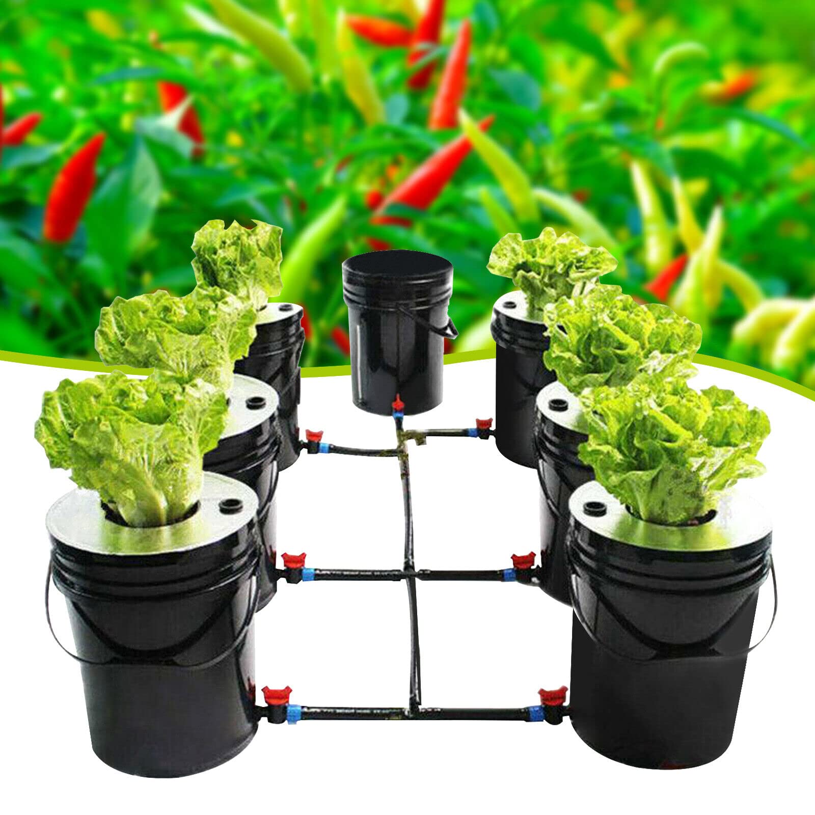 Hydroponic Plant System Buy Hydroponic Kit Balcony Garden In India