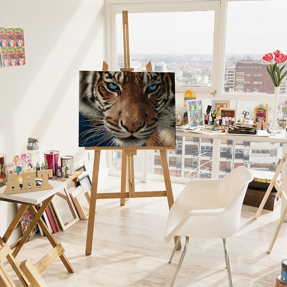 Artnapi Dipingere con i numeri, kit per adulti per bambini con cornice 40 x 50 cm (papaveri rossi) – Dipinto ad olio su tela – molto divertente e rilassante, anti lo stress