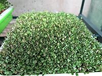 Review Image by Judy L.