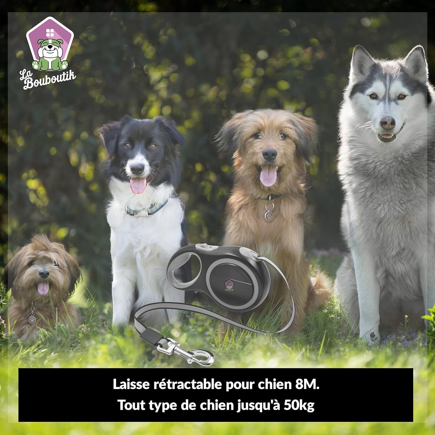 Correa enrollable de 8 metros, cinta de nailon extensible + botella + 2 cuencos retráctiles, dispensador de bolsas, correa resistente para perro (hasta 40 kg máx.) paseo, adiestramiento