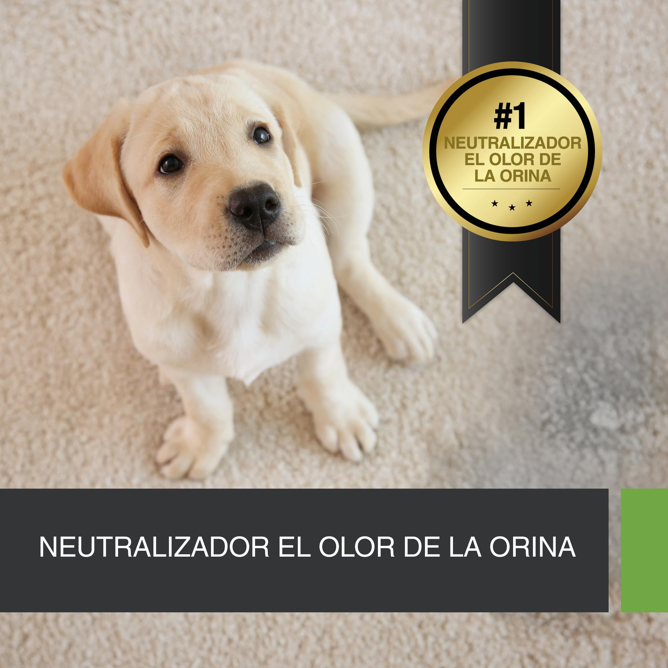 UF2000 Removedor de Olores de Orina 2500ml | Sin Perfume | Biodegradable | Basado en Enzimas Vegetales | Elimina eficazmente los olores de orina de Perros, Gatos y roedores.