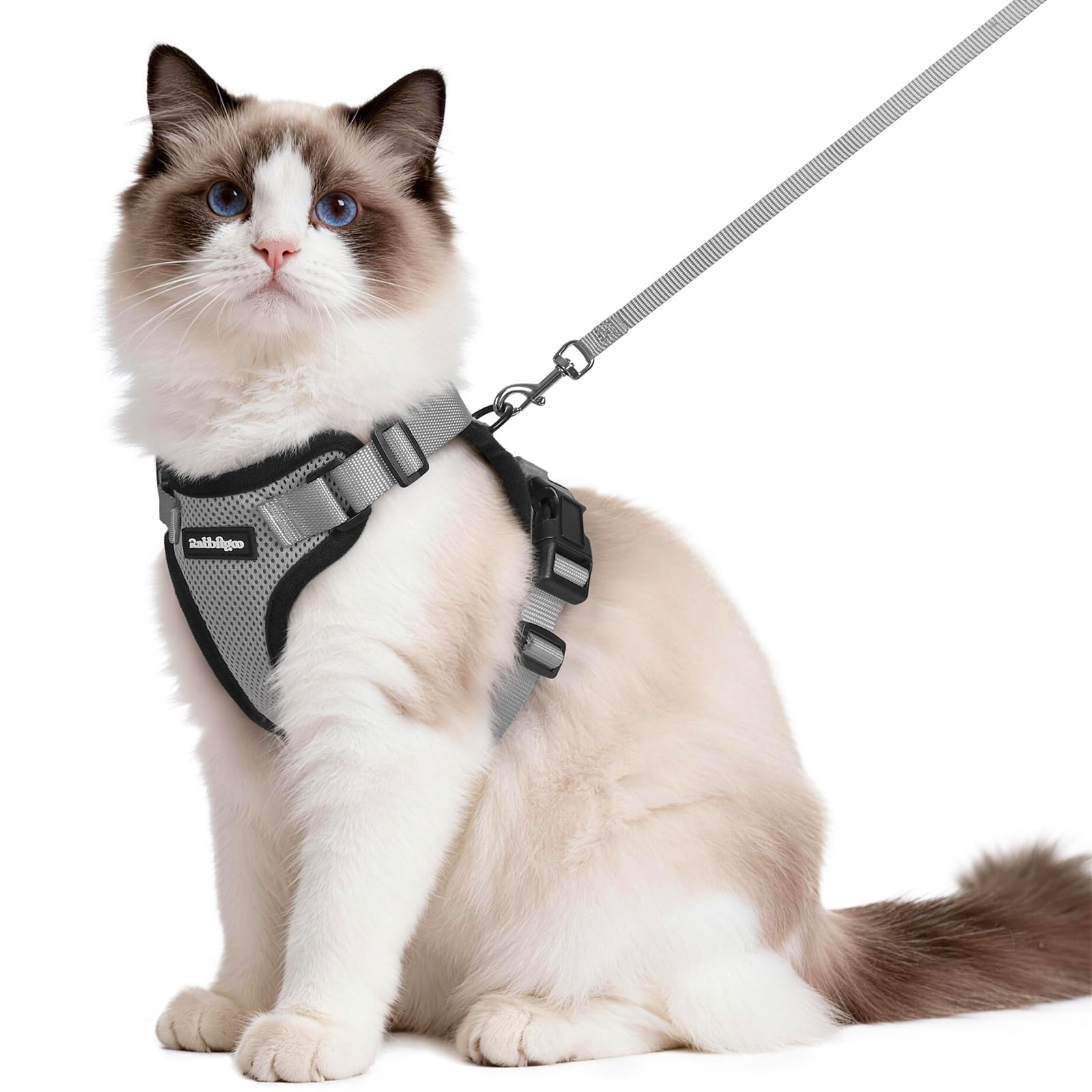 Photo 1 of rabbitgoo Escape Proof Cat Harness and Leash Set, M, Grey