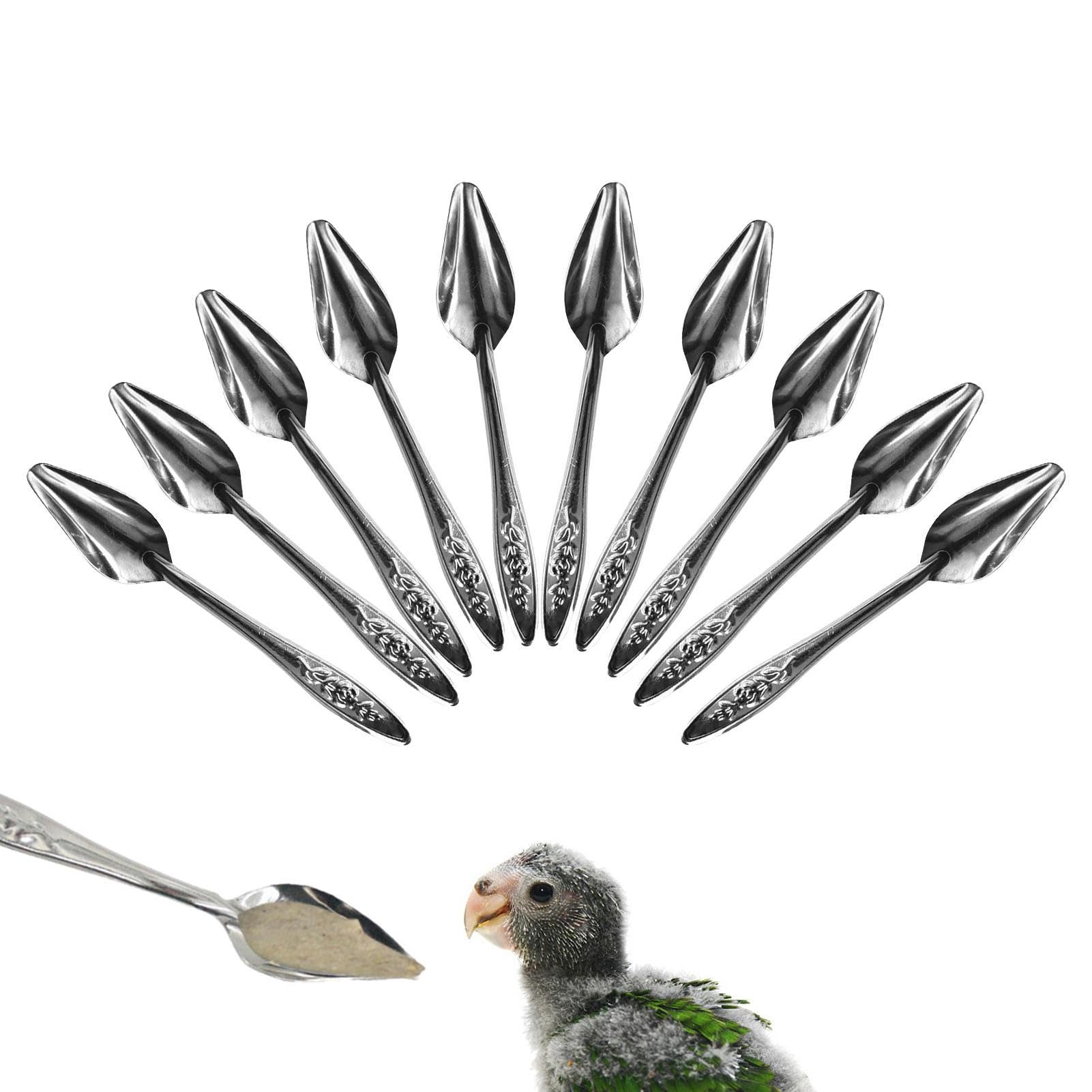 Amazon.co.jp: 鳥の餌箱, 10 個の金属鳥ミルクスプーン手送りスプーン