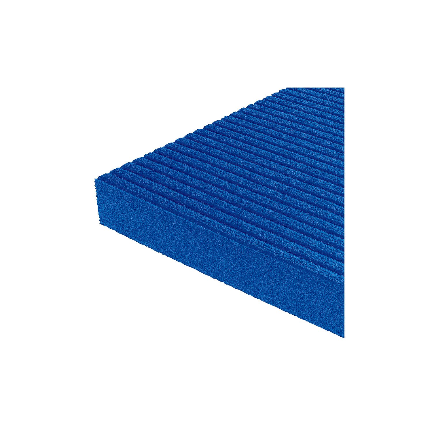 Airex Hercules Tapis de gymnastique Environ 200 x 100 x 2,5 cm