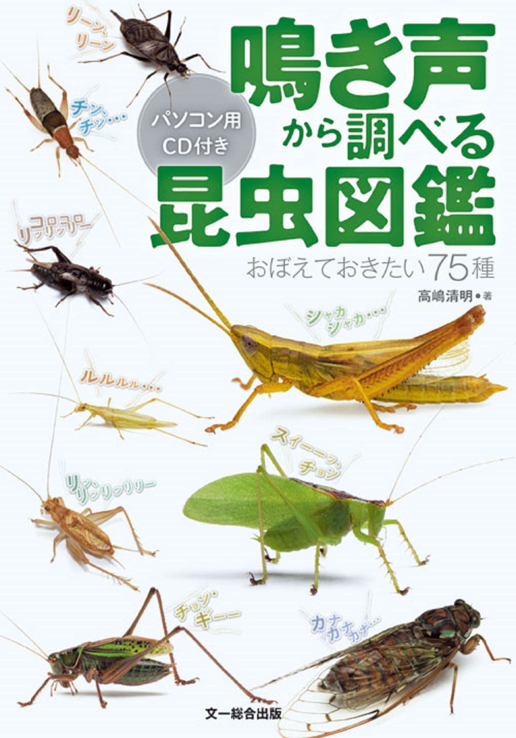 鳴き声から調べる昆虫図鑑ーおぼえておきたい75種 パソコン用CD付き 
