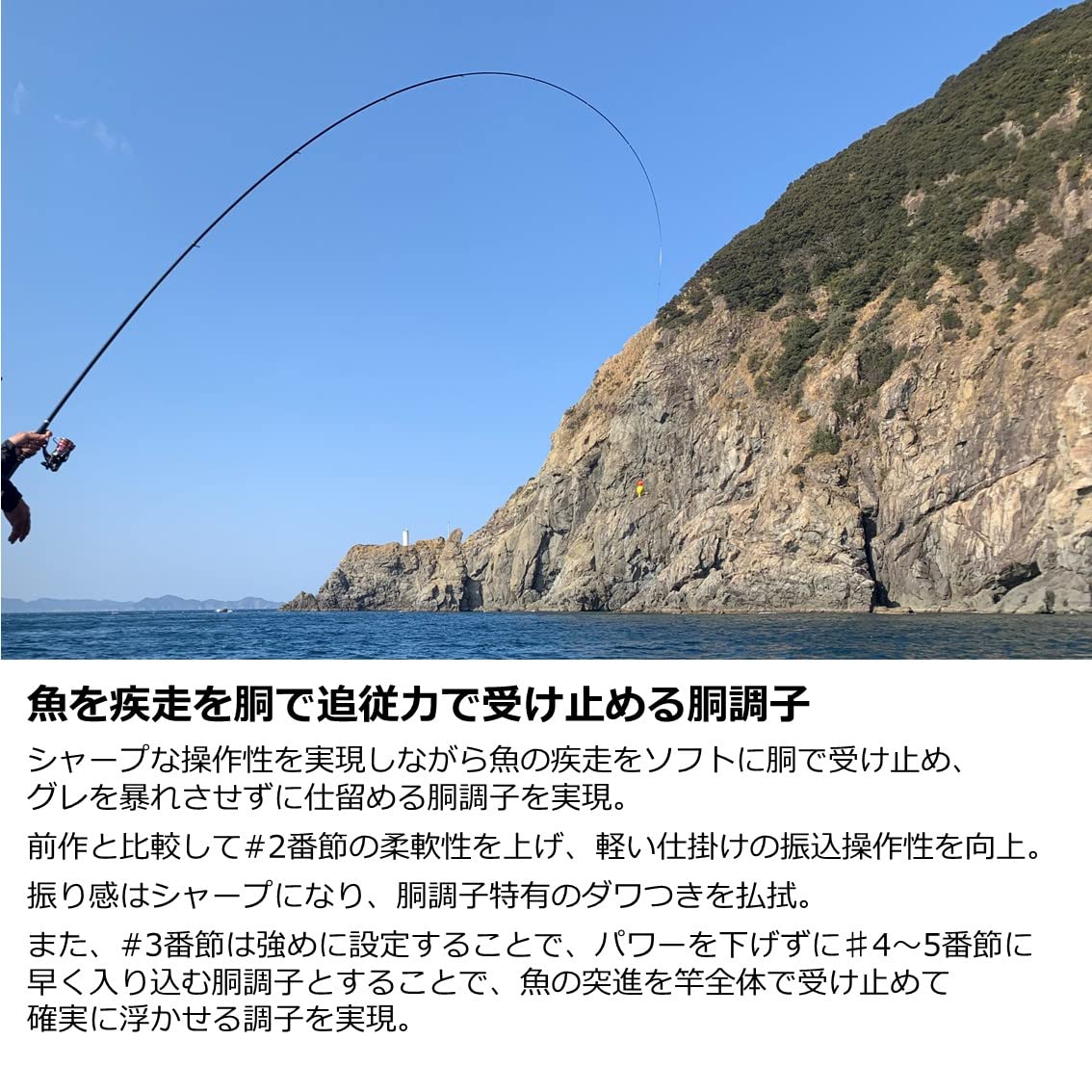 Amazon | ダイワ(DAIWA) 磯竿 メガディス Megathis AGS・N 1-53・N 