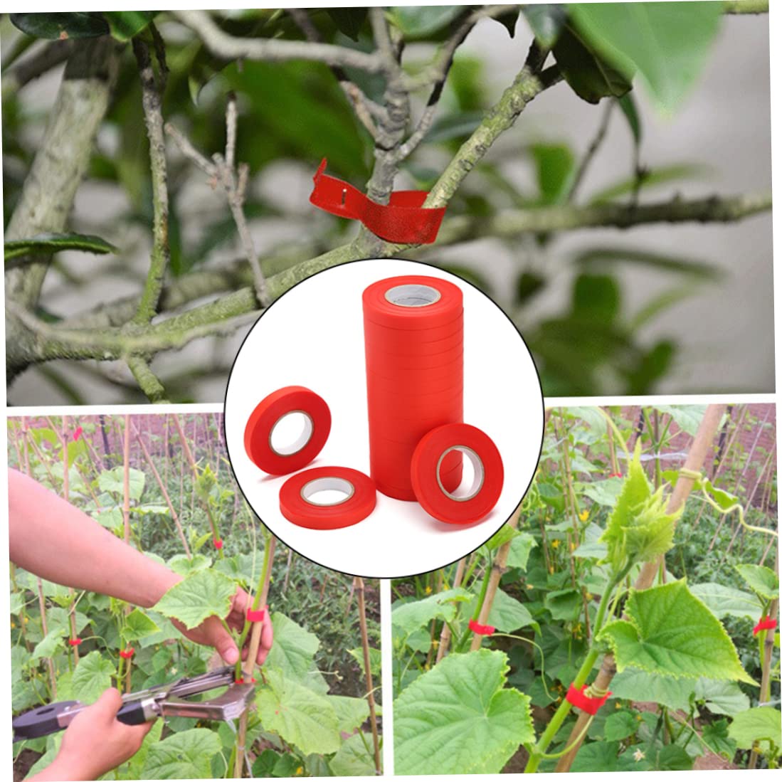 Cintas para máquinas de atar plantas Cintas para herramientas de jardinería Herramienta de embalaje de jardín para podar tallos de vegetales Azul 20PCS Cinta de reparación de plantas Cinta de injerto