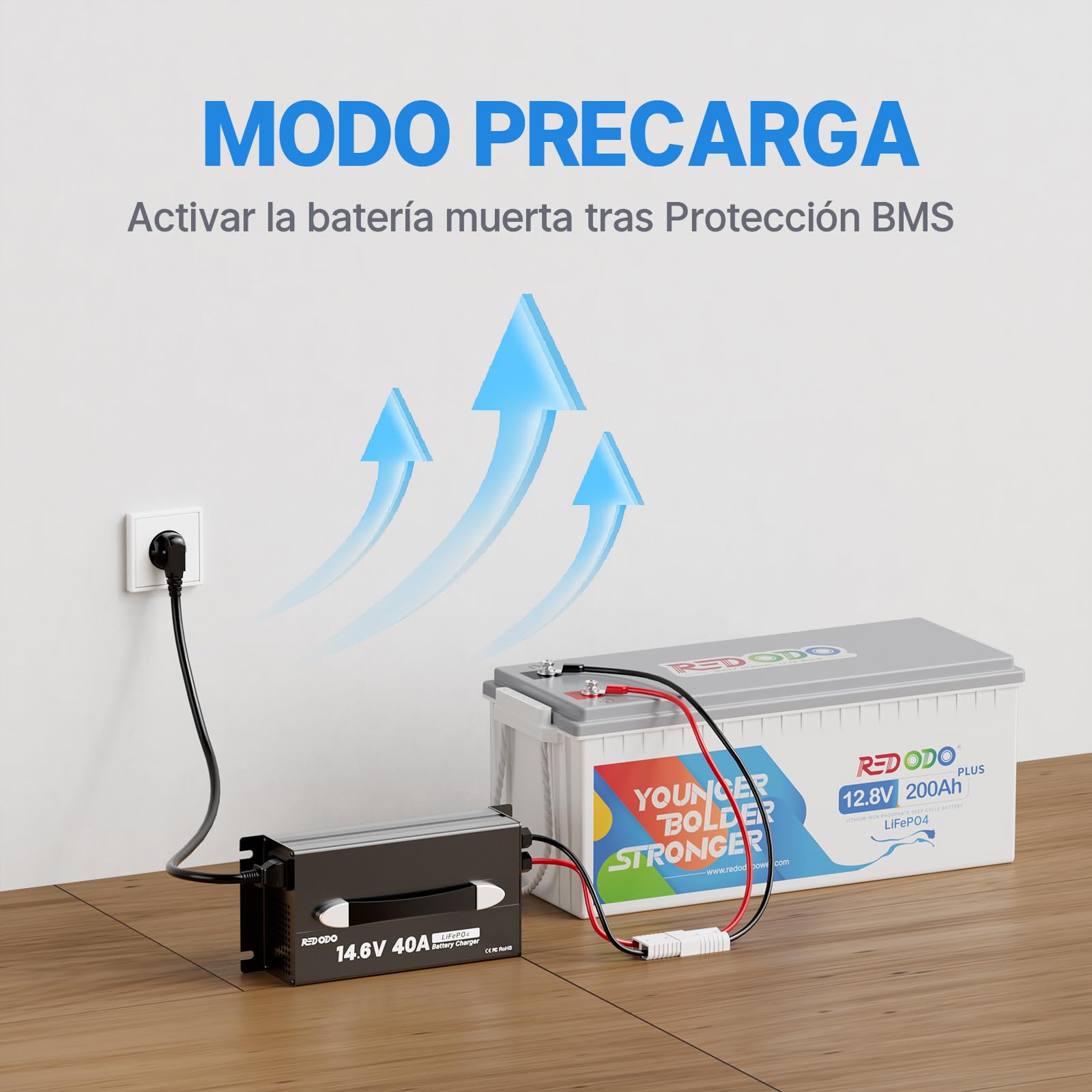 Redodo 14,6V 40A LiFePO4 Cargador de Batería, Cargador de Batería LiFePO4 Dedicado, Diseño Compacto y Duradero con Protección Completa, 12V LiFePO4 Baterías