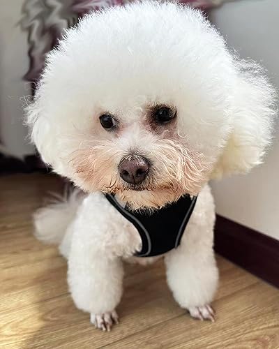 Miniatura 7 de Arnés para perros pequeños y medianos sin tirones, juego de arnés y correa para cachorro, arnés para cachorros para perros pequeños, arnés para