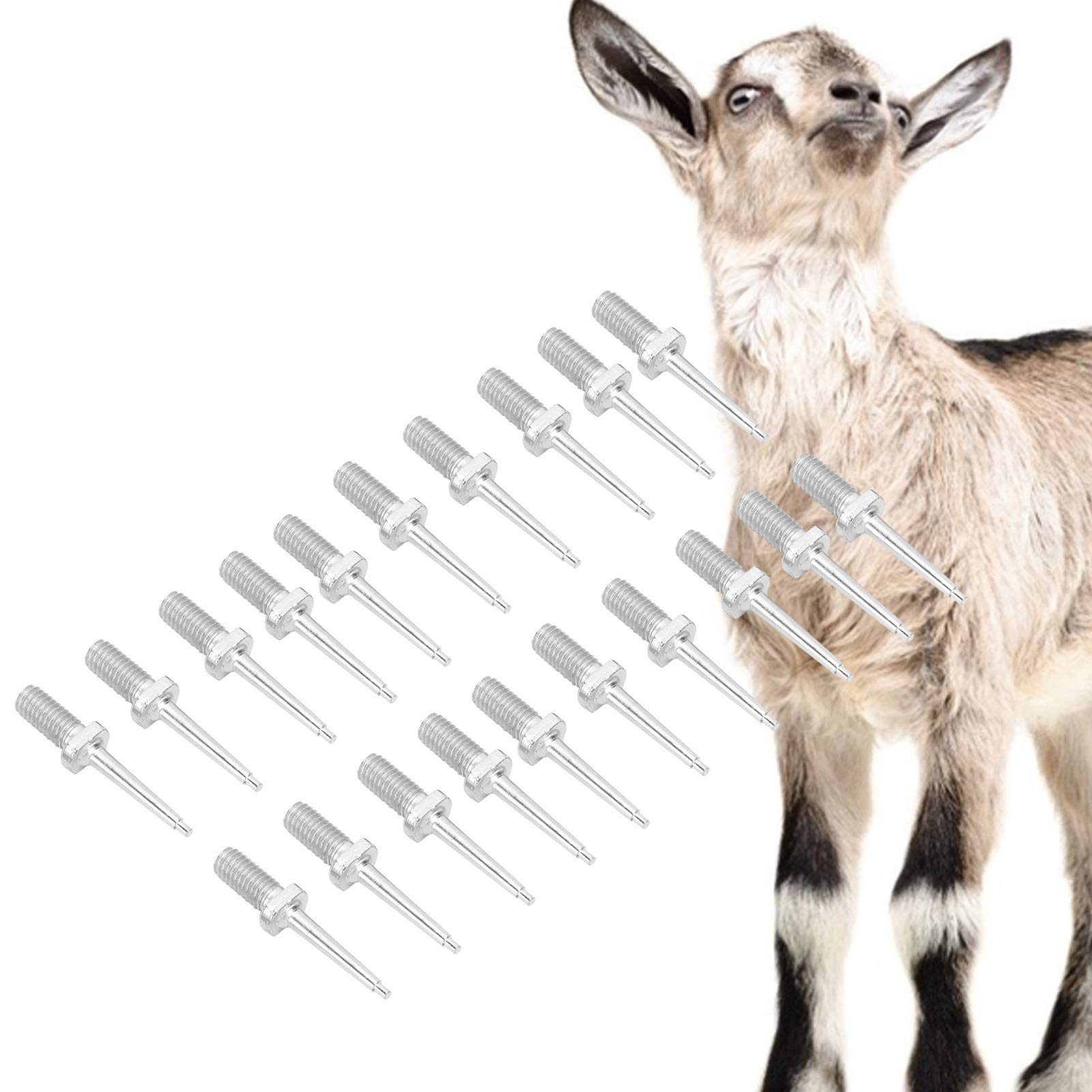 Voluxe Pin di Ricambio per pinze per Marchi Auricolari Animali, Perno per Marchio Auricolare per Bestiame, Perno per suini bovini Ovini per bovini(Stainless Steel Ear Tag Needle)