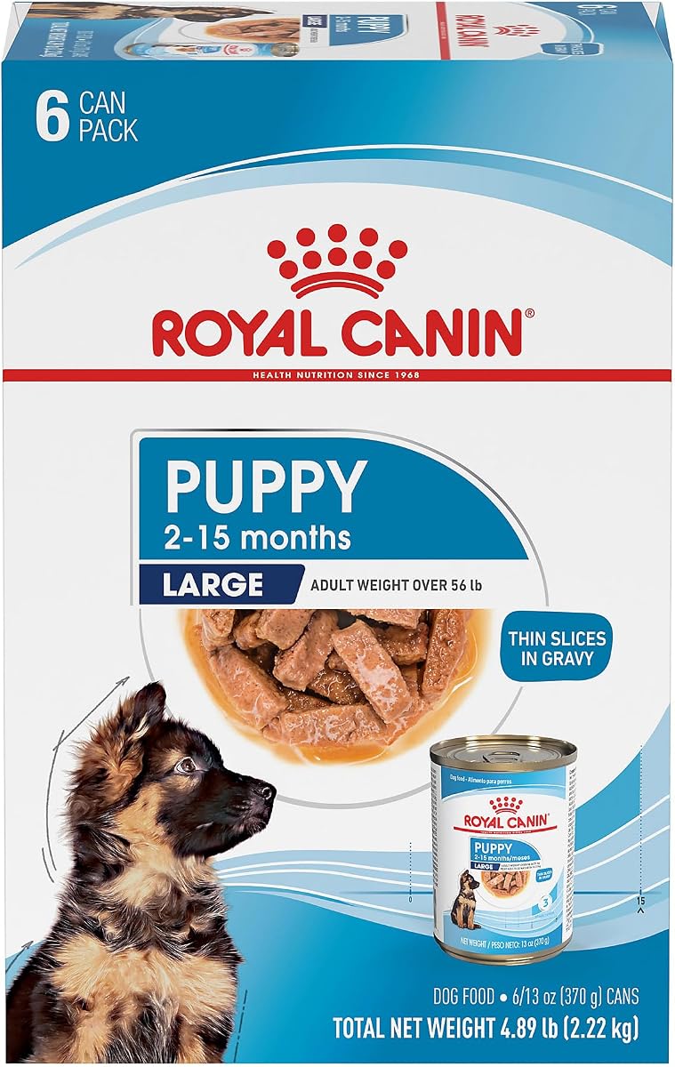 ROYAL CANIN Size Health Nutrition Alimento para perros en rodajas finas para cachorros grandes en salsa, 13 oz (paquete de 6)