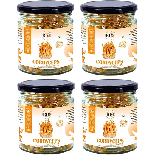 BIO Cordyceps Militaris Raw and Dried Fruit Body Sticks for