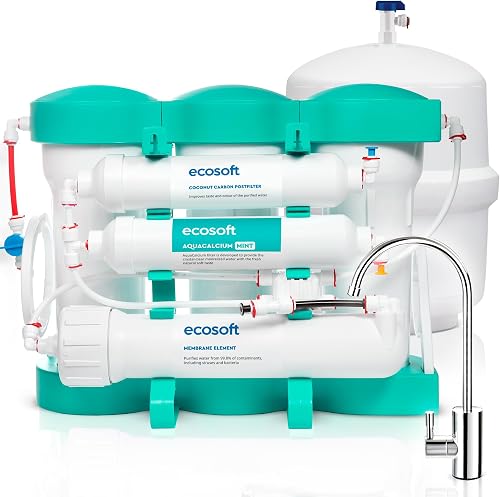 P'URE AquaCalcium Mint Filtre à osmose inverse pour la m Ecosoft