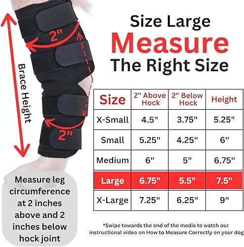 Miniatura 2 de AGON El soporte canino para perro protege las heridas mientras curan, la envoltura de compresión, cura y previene lesiones y esguinces ayuda con la