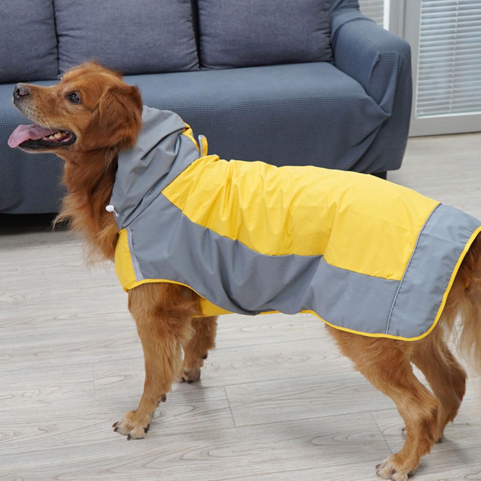 Manteau de Pluie imperméable pour Animaux de Compagnie, imperméable pour Chiens, activités de Plein air, Vestes de Pluie pour Chiens de et Moyenne Taille, vêtements réfléchissants Coupe-Vent en
