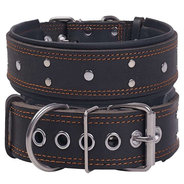 Collar para Perro con Tachuelas,Extra Grueso y de 5 cm de Ancho, de Cuero Genuino Resistente y Suave