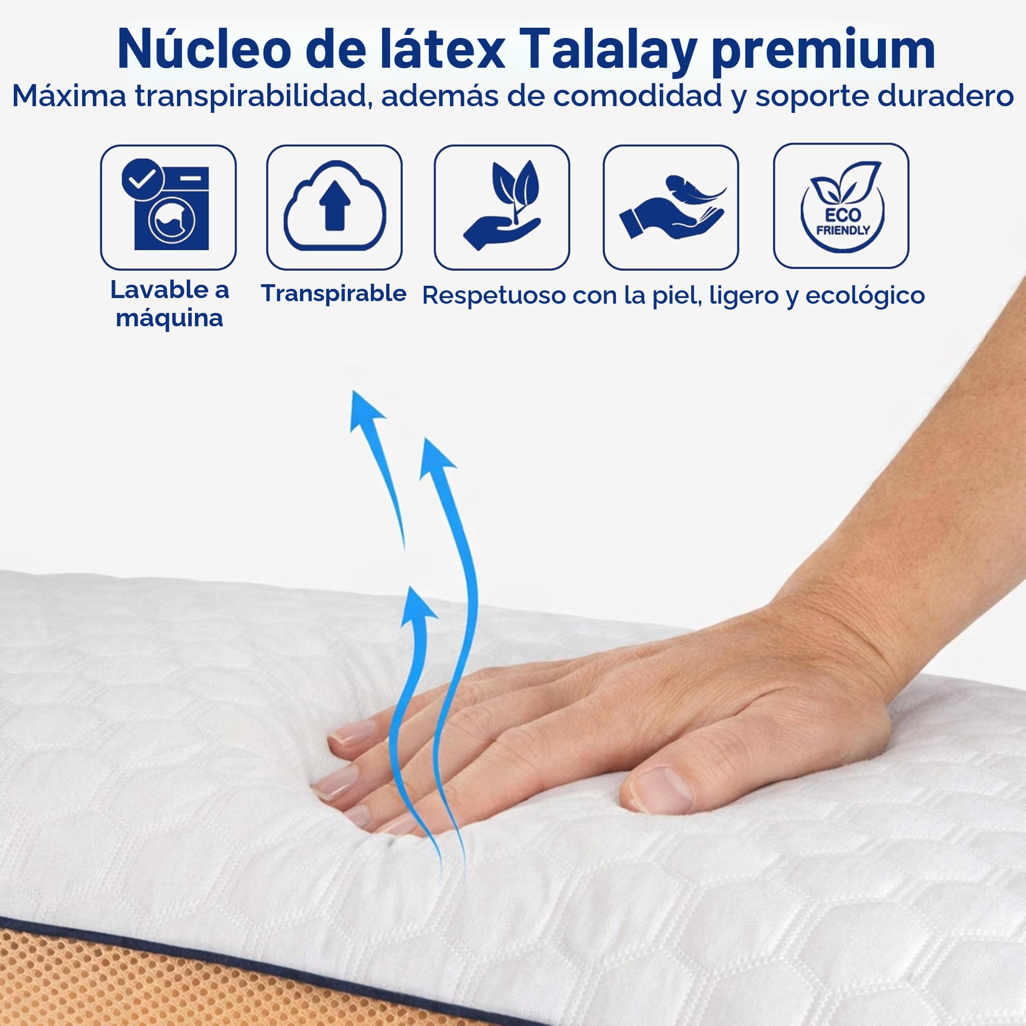 Almohada de Látex Talalay | Almohada Latex Natural Ergonómica y Transpirable | Soporte Cervical | Confort de Lujo Suave | Funda Lavable | Tamaño Queen | 27.5 x 15.7 x 5.9 in